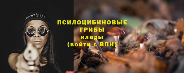 2c-b Абдулино