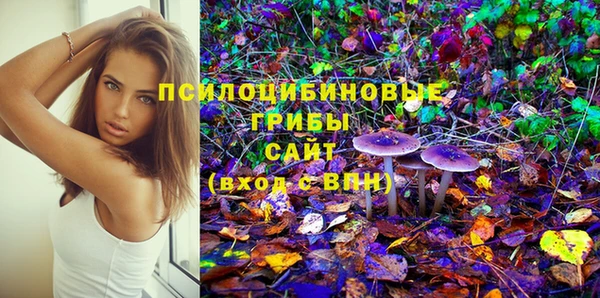 прущая мука Коряжма