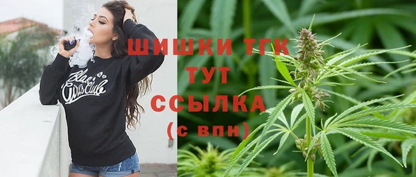 сатива Костерёво