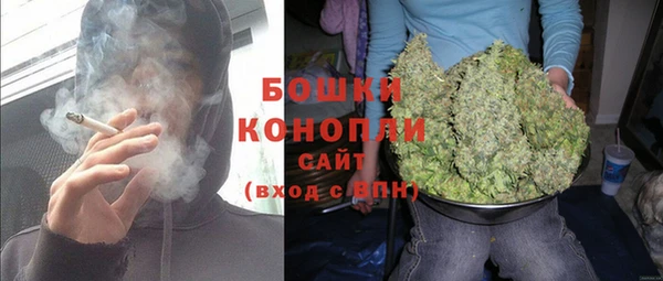 сатива Костерёво
